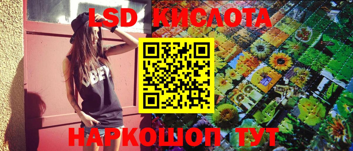 Бошки Шишки Зима