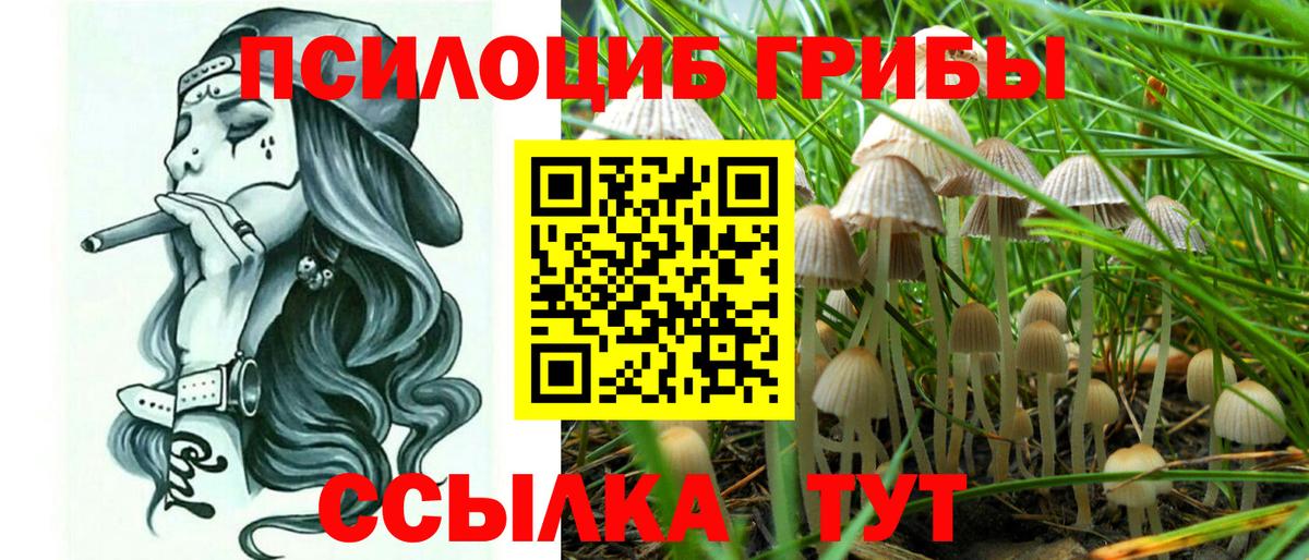 Псилоцибиновые грибы мицелий  Галлюциногенные грибы GOLDEN TEACHER  Вход с VPN  Зима 
